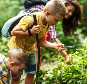 Children on a hike identifying plants