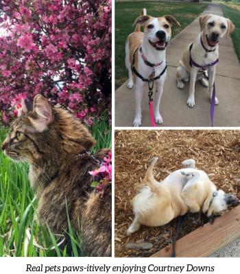 Pets Enjoying Courtney Downs Apartment Homes