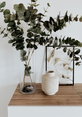 A vase with a plant in it sits on a table.