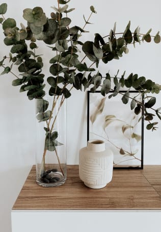 A vase with a plant in it sits on a table.