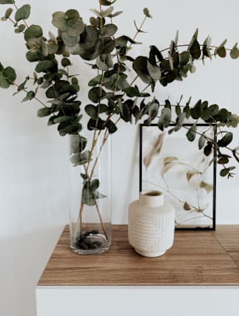 A vase with a plant in it sits on a table.