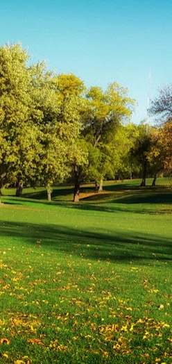 a park with green grass and trees