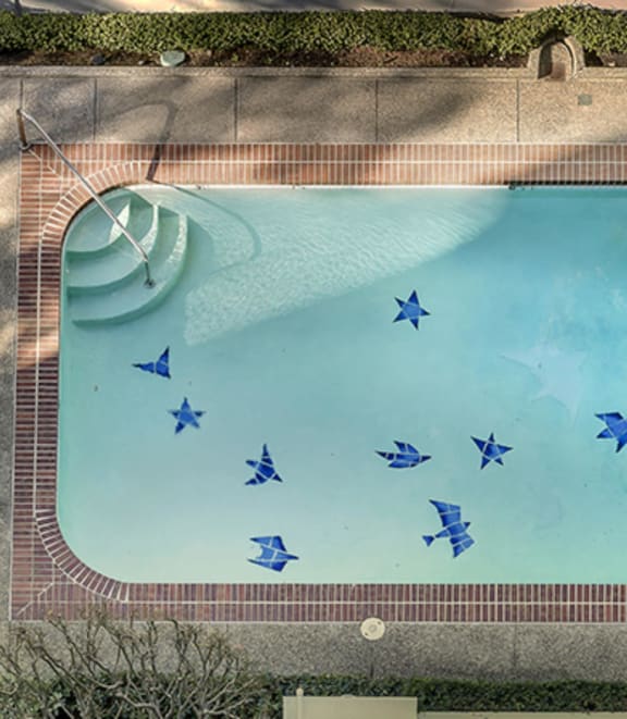 a swimming pool with blue stars painted on it