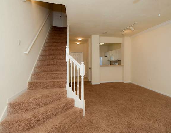 Interior Living Room at Magnolia Place Apartment, Gainesville, 32606