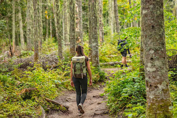A woman with a backpack is walking on a trail in the woods.