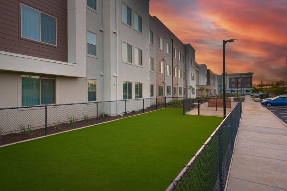 Special area for pets, fenced in with green turf