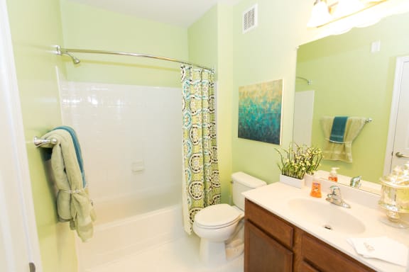 bathroom at VistaView, Maryland, 21702
