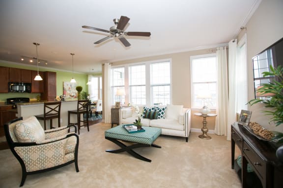 living room  at VistaView, Maryland