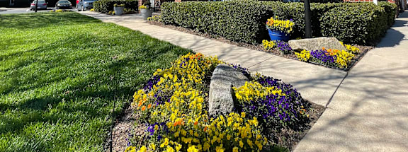 A house with a well-kept lawn and colorful flowers in front.