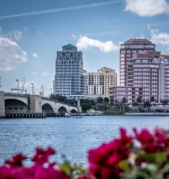 a view of the city from the water