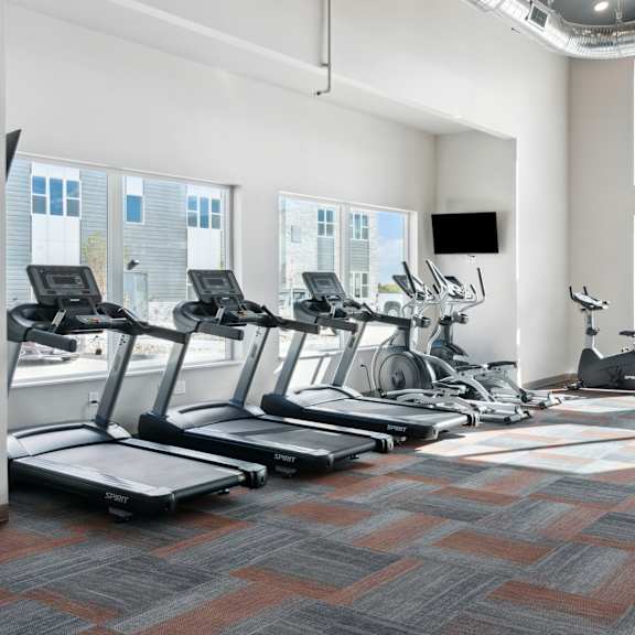 Mural-Fitness Center