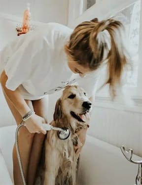 a woman in a white dress is blow drying a dog