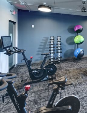 Well-Equipped Fitness Center at Foxboro Apartments, Wheeling, IL