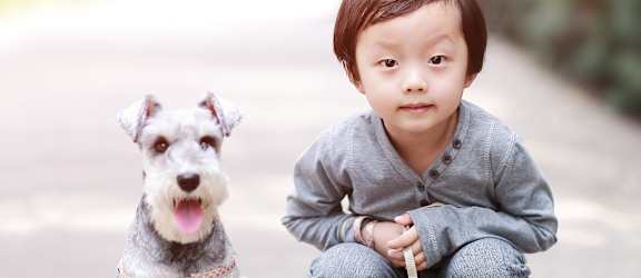 A small dog with a grey coat and a child in a grey sweater and blue shoes are sitting on a road.