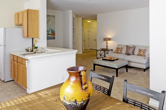 Avenel at Montgomery Square - Staged living room