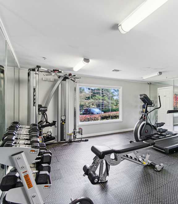 A gym with treadmills, exercise bikes, and other equipment.