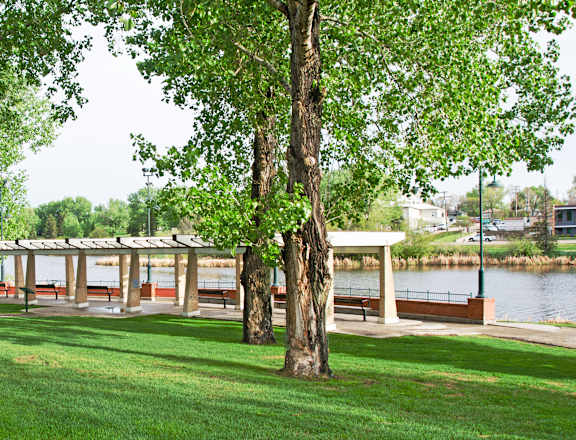A park with a bench and a tree.