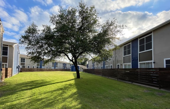 a large tree in front of a building