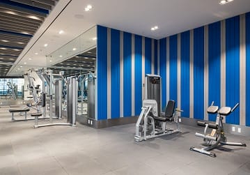 the gym has a lot of exercise equipment and blue stripes on the wall