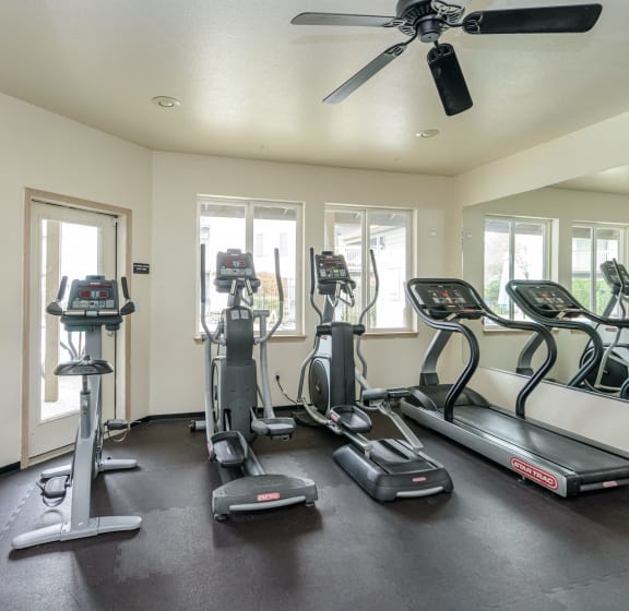 the gym has plenty of cardio equipment and windows