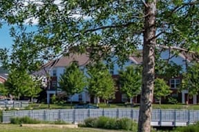 A tree stands in front of a brick building.