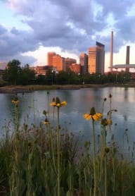 flowers blooming in front of the pond at Railraod Park