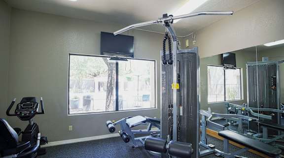 A gym with a treadmill, weights, and exercise equipment.