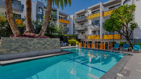 A swimming pool in front of a building with a palm tree.