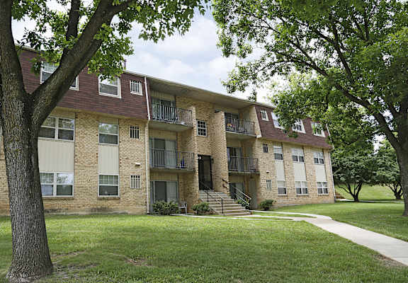 A tree stands in front of a brick apartment building.