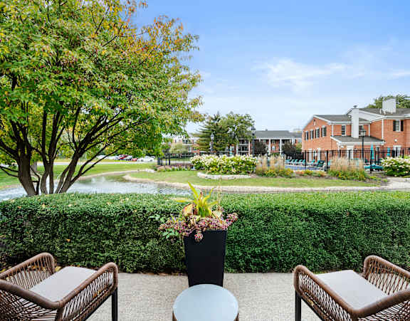 A view of a courtyard with a table and chairs and a potted plant.