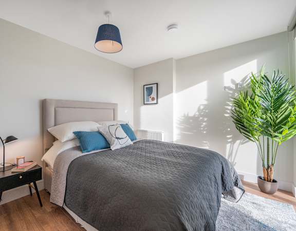 a bedroom with a large bed and a potted plant