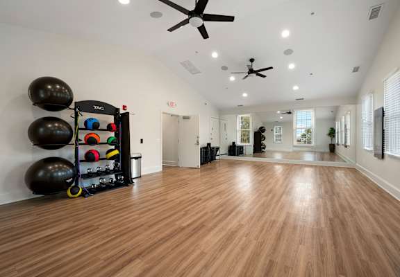 A gym with a wooden floor and a wall of exercise balls.