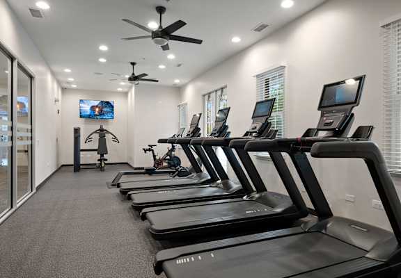 A row of treadmills are lined up in a gym.
