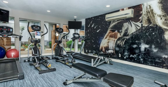 a gym with weights and a mural of a man on the wall