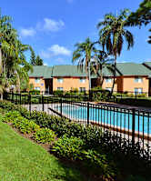 a backyard with a swimming pool and palm trees