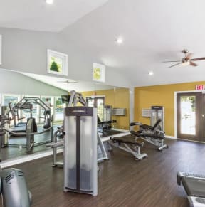 the gym at 1861 muleshoe road