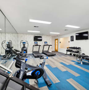 a gym with cardio machines and weights on a blue floor