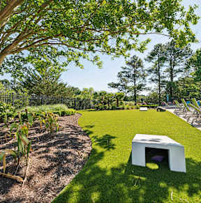 a yard with a picnic table and a pool at The Courtyards of Chanticleer, Virginia Beach, VA
