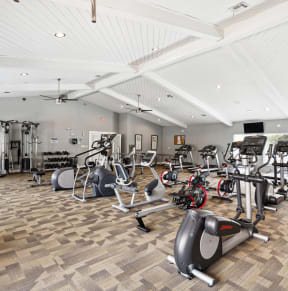 the gym is equipped with a variety of exercise bikes and weights
