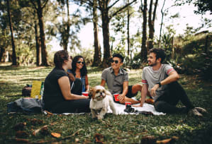a group of people sitting in the grass with a dog