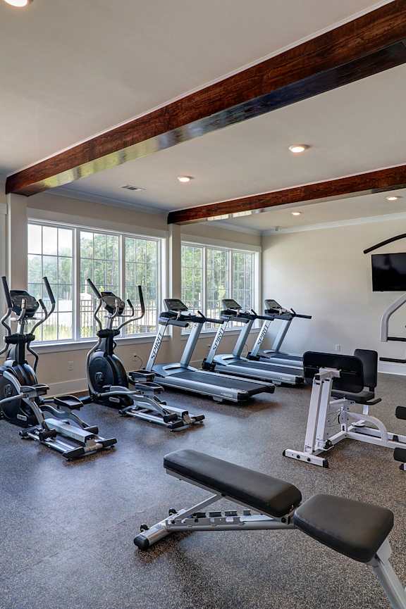 a gym with cardio equipment and windows with a lake view
