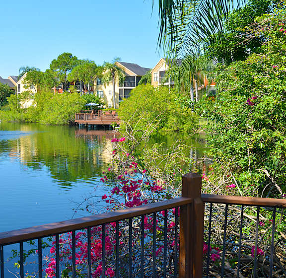 A fountain in the middle of a lake surrounded by houses.