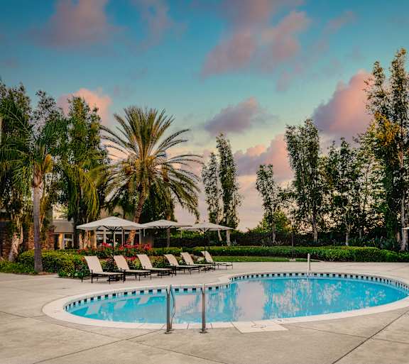 A swimming pool surrounded by trees and lounge chairs.