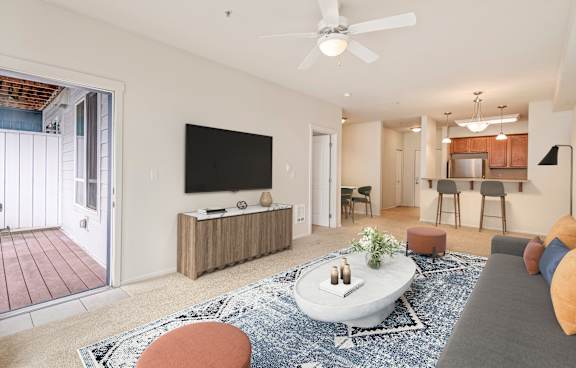 A living room with a television, a sofa, and a rug.