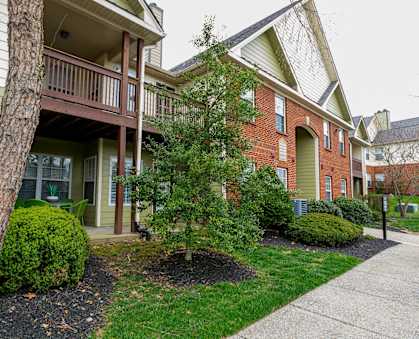 a tree in the front yard of a brick house