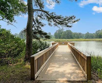 a bridge over a body of water with trees