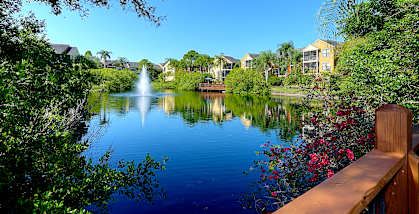 A serene lake surrounded by lush greenery and a wooden bench overlooking it.