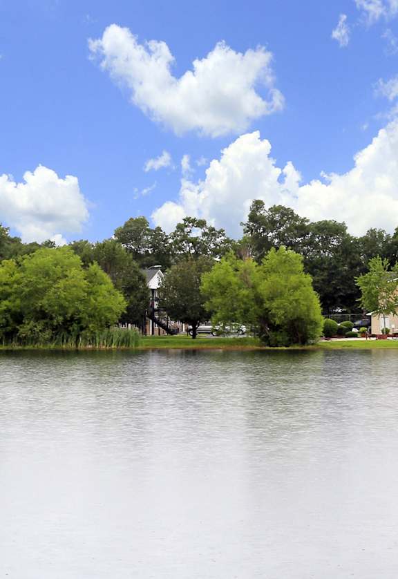 a body of water with houses and trees in the background