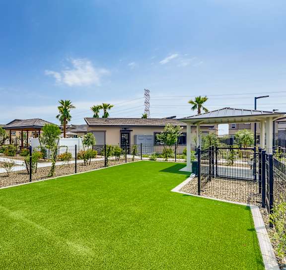 A grassy area in front of a row of houses with a fence and palm trees. at Grandstone at Sunrise, Peoria, AZ, 85383