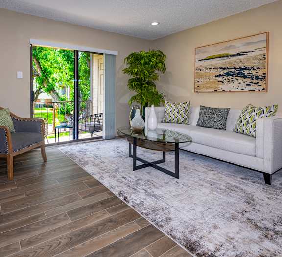 A living room with a couch, chair, and a rug.